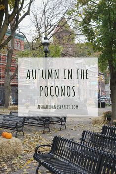 an autumn in the poconos park with benches and pumpkins on the ground