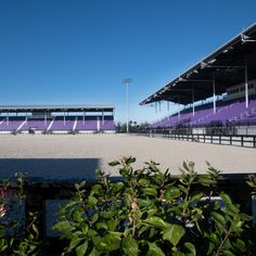 an empty stadium with purple seats and plants in the foreground, on a sunny day