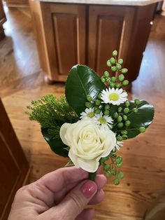 a person holding a white rose and green leaves in front of a kitchen counter top