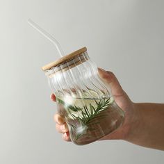 a hand holding a glass jar filled with water and plants