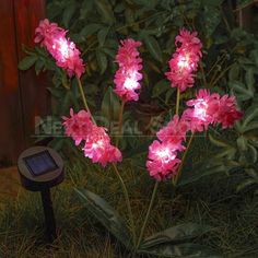 pink flowers are lit up in the dark by a solar powered light that is on top of some grass