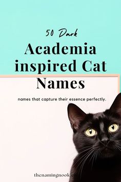 a black cat sitting in front of a white board with the words,'50 dark academy inspired cat names '