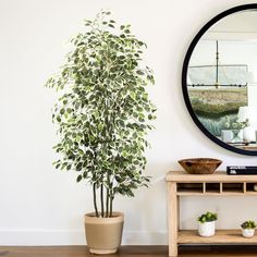 a potted plant sitting on top of a wooden table next to a round mirror