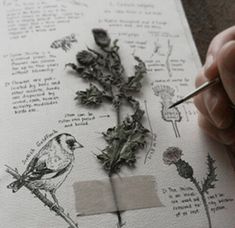 a hand holding a pencil and writing on top of a piece of paper with plants