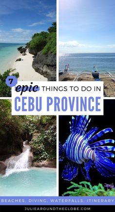 things to do in cebu province, philippines