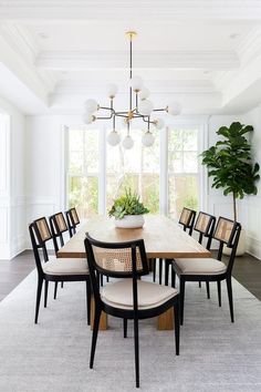 a dining room table with chairs and a potted plant in the middle of it