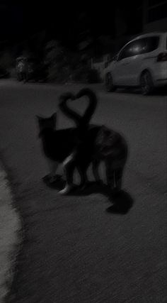 a black and white photo of two cats on the street with a car in the background