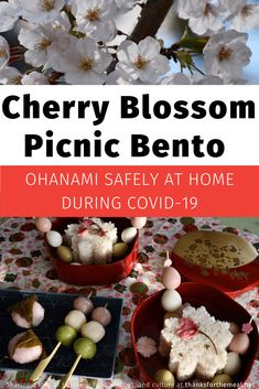 Enjoying the Japanese tradition of viewing cherry blossoms, otherwise known as Hanami. Celebrate the culture by learning more of Japan’s cherry blossom festivals, such as Hirosaki and Nakameguro, plus how to make seasonal bento boxes. Includes a sakura tofu recipe! Hanami Bento, Cherry Blossom Picnic, Japanese Yam, Picnic Bento, Bento Box Recipes, Sakura Mochi, Kyoto Japan Travel, Japanese Grocery