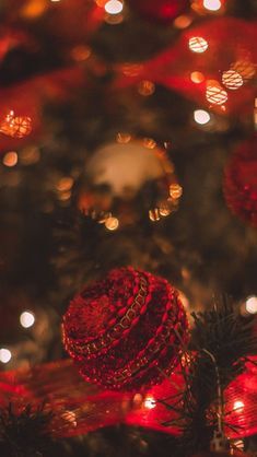 a christmas tree with red and gold ornaments on it's branches, surrounded by lights