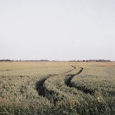 an open field with tracks in the grass