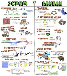 an info sheet describing the different types of animals