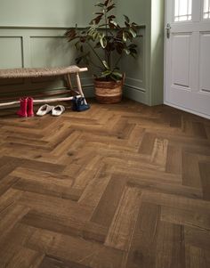 a wooden floor with some shoes on it and a potted plant in the corner