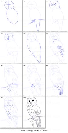 how to draw an owl step by step