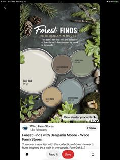 the interior paint colors are shown in this ad for forest finds, which is also available on