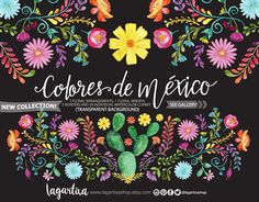 an image of a mexican floral border with the words colors de mexico