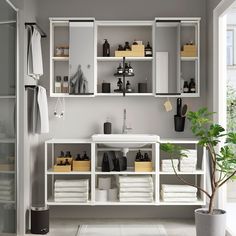 a white bathroom with shelves filled with personal items and a potted plant in the corner