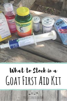 what to stock in a goat first aid kit on a picnic table with text overlay