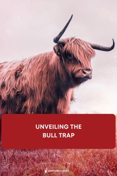 an animal that is standing in the grass with words underneath it reading unveiling the bull trap