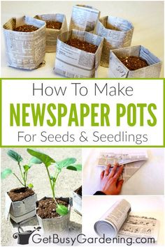 how to make newspaper pots for seeds and seedlings