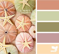 the color scheme is peach, green, and beige with starfishs on it