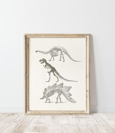 an image of dinosaurs in different poses on a wall above a wooden floor with a white background