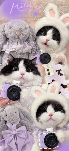 two black and white cats wearing bunny ears, one with a camera in it's mouth