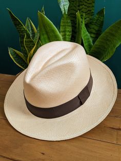 Handmade Panama Hat ~ in Natural Colour with Dark Brown Band ~ Genuine Panama hat handwoven with Toquilla palm ~ ~ Handwoven in Ecuador ~ ~ Possible to roll for easy travel ~ ~ Inside comfort band ~ Other colour hats and bundles available from our store > https://www.etsy.com/shop/personalisedpanamas Panama Hats For Women, Outback Hat, Brown Hat, Church Activities, Brown Hats, American Presidents, Perfect Marriage, Handmade Hat, Easy Travel