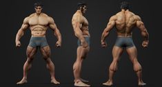 Reference Models, Unique Poses, Male Anatomy