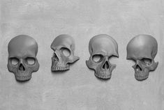 four skulls are lined up against a wall