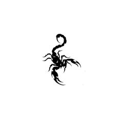 a black scorpion tattoo on a white background