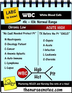 a poster with words describing the different types of blood vessels and their corresponding labels on it