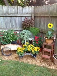 the garden is full of potted plants and flowers