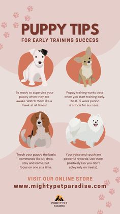 the puppy training guide is shown in this image