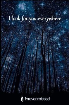 trees with the words i look for you everywhere on it and stars in the sky above them