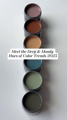 five paint cans with different colors and text that reads meet the deep & moody hues of color trend 205