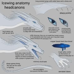 an info sheet describing how to use icewing anatomy