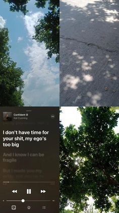 three different shots of trees and the same one with an instagramr on it