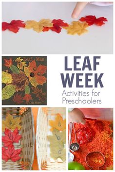 leaf week activities for preschoolers to do with the leaves on the tree and in the basket