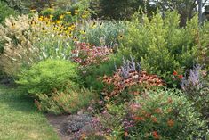 the garden is full of colorful flowers and plants