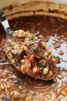 a spoon full of beef stew with carrots and parsley in a large pot