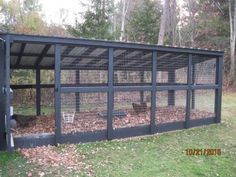 an outdoor chicken coop with two chickens in it and one on the ground next to trees