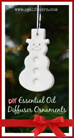 an ornament hanging from a christmas tree with the words diy essential oil diffuse ornaments