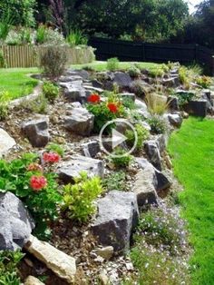 a garden with rocks and flowers in it