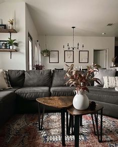 a living room with a couch, coffee table and potted plant in the corner