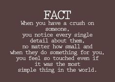 a quote that says fact when you have a crush on someone, you notice every single detail about them