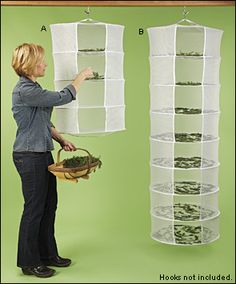 a woman holding a basket with plants in it and hanging on the wall behind her