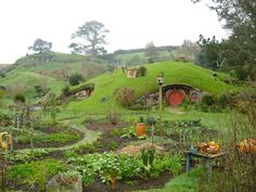 hobbiton, hobbit holes, hobbits, hills, greenery, lord of the rings, digital camera, travel, touristy, new zealand, , aesthetic, vibe, cloudy, rotorua #hobbit #hobbiton #newzealand #lordoftherings The Hobbit Shifting, Hobbit Hole Aesthetic, Hobbiton Aesthetic, Lotr Hobbit Hole, New Zealand Aesthetic, Hobbit Core, New Zealand Hobbiton, Hobbit Aesthetic, Hobbit House New Zealand