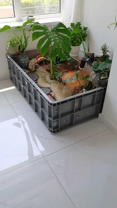 a container filled with lots of plants on top of a white floor next to a window