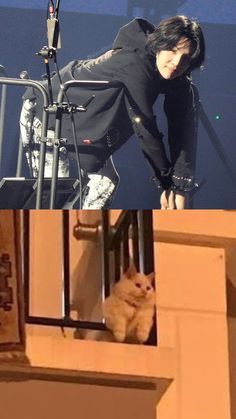 an orange cat sitting on top of a balcony next to a woman in black jacket