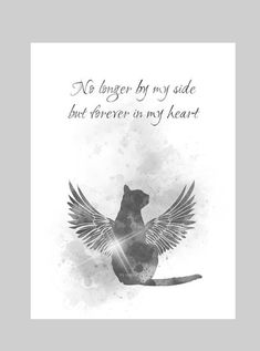 a cat with wings on it's back and the words, no longer by my side but forever in my heart